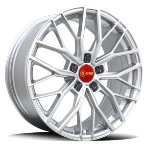 DA9016 RINDT – BRIGHT SILVER