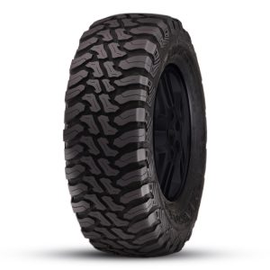 ACCELERA – MT01