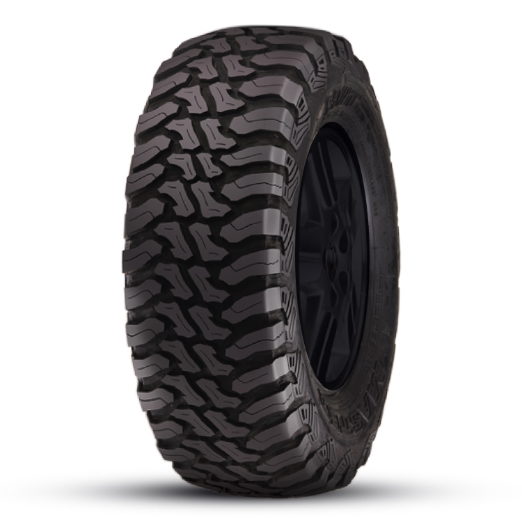 ACCELERA – MT01