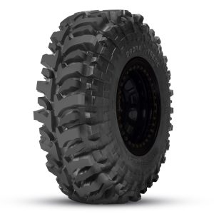 ACCELERA – BADAK XTREME